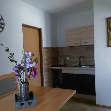 House Sara Apartment Korenica Exterior photo