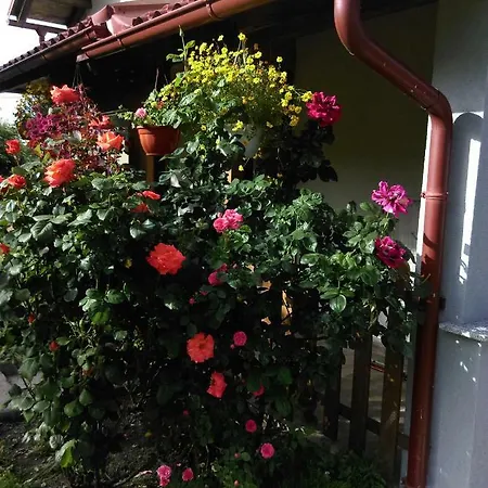 House Sara Apartment Korenica Exterior photo