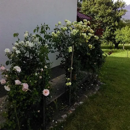 House Sara Apartment Korenica Exterior photo